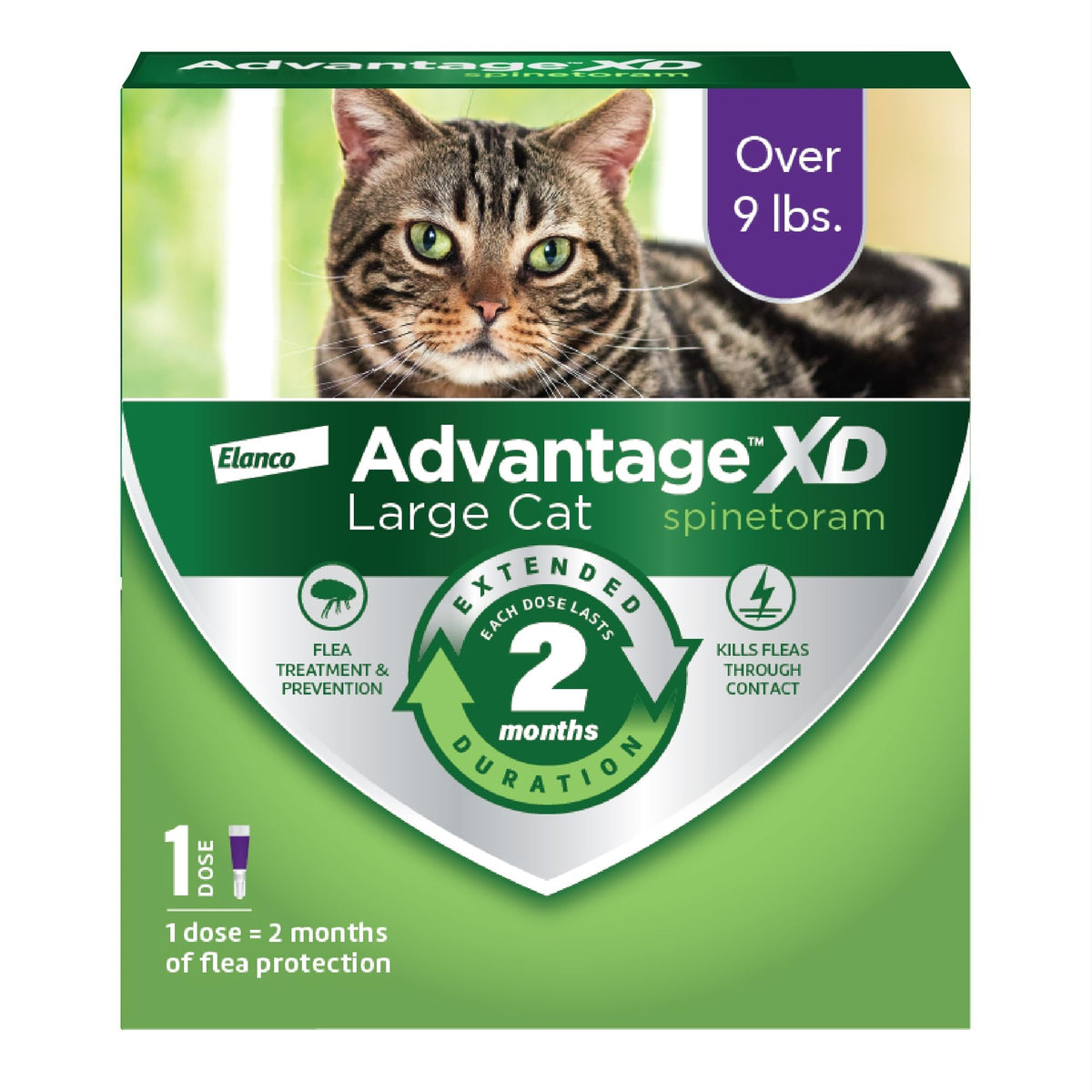 Advantage XD spot-on neck application on a large cat for easy care