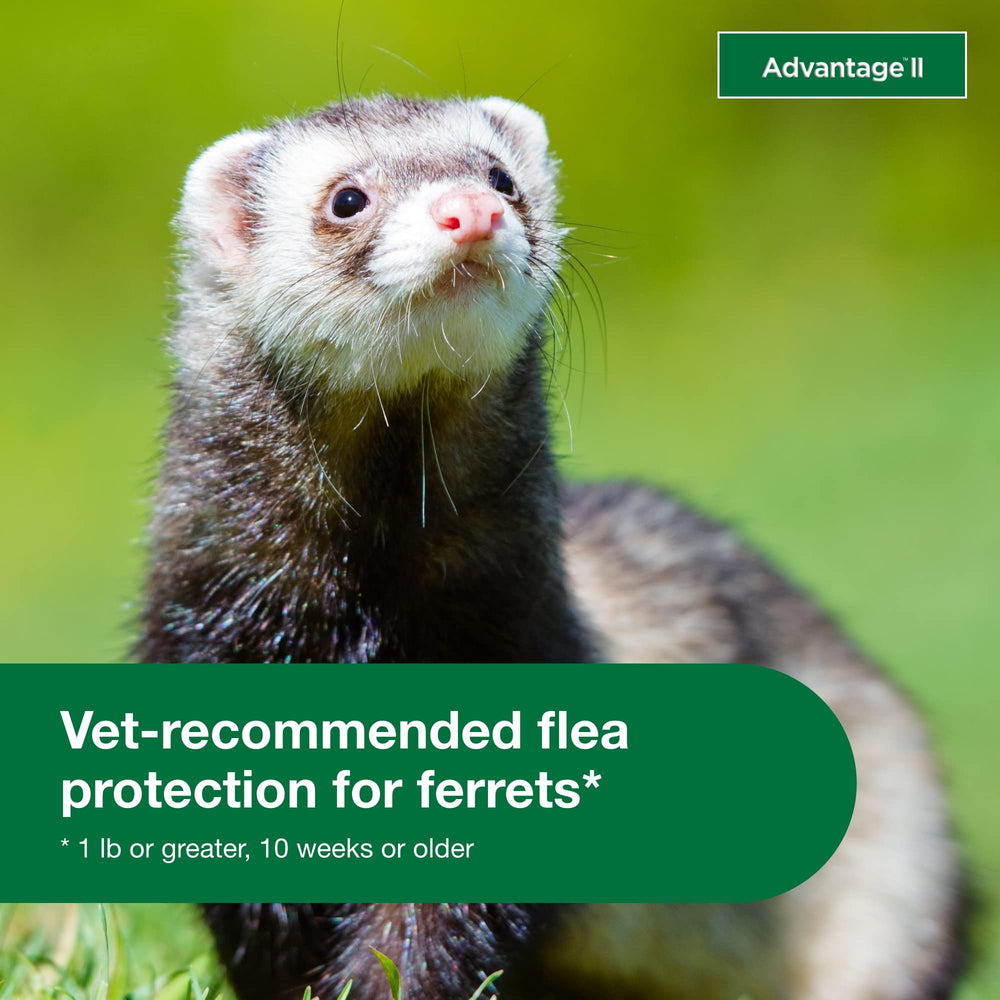 Advantage II Ferret fragrance-free formula provides gentle flea protection.