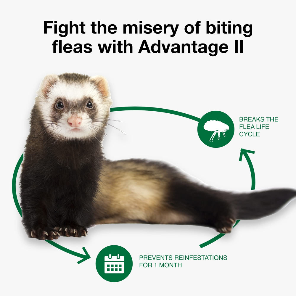 Advantage II Ferret is OTC—no prescription required.