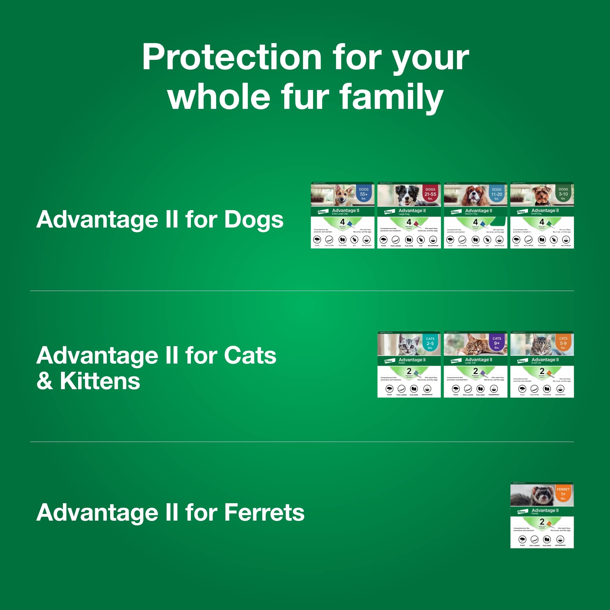 Advantage II Ferret safe for ferrets 10 weeks or older, 1 lb or more.