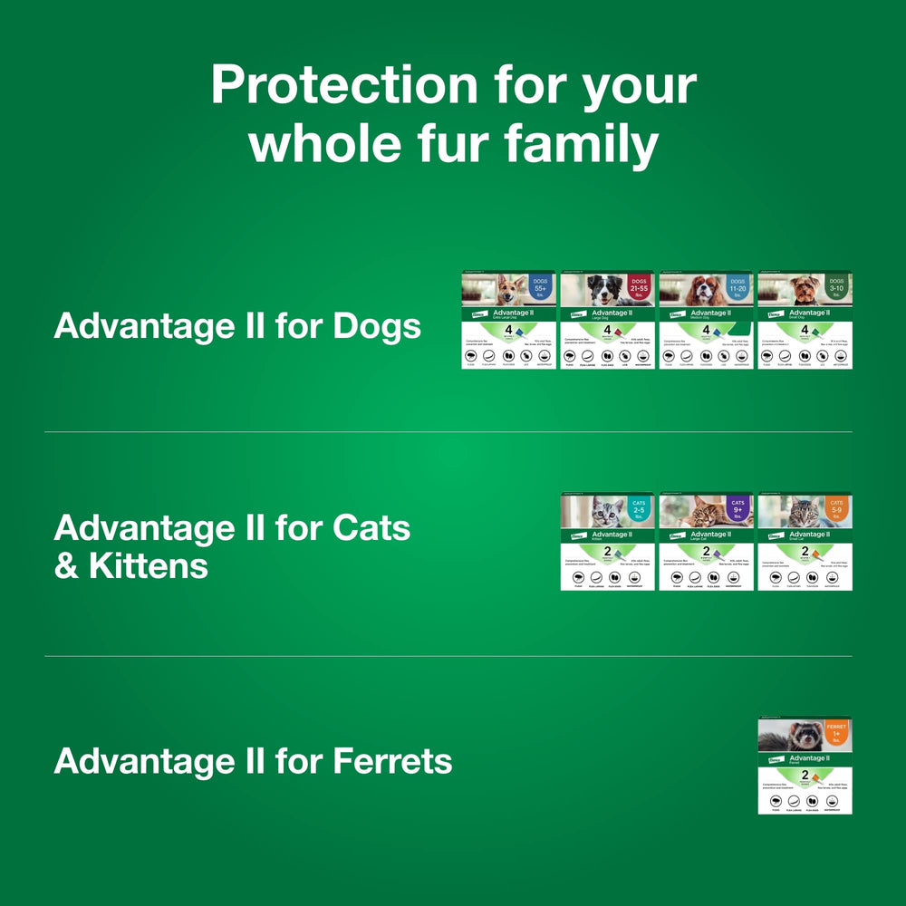 Advantage II Ferret safe for ferrets 10 weeks or older, 1 lb or more.