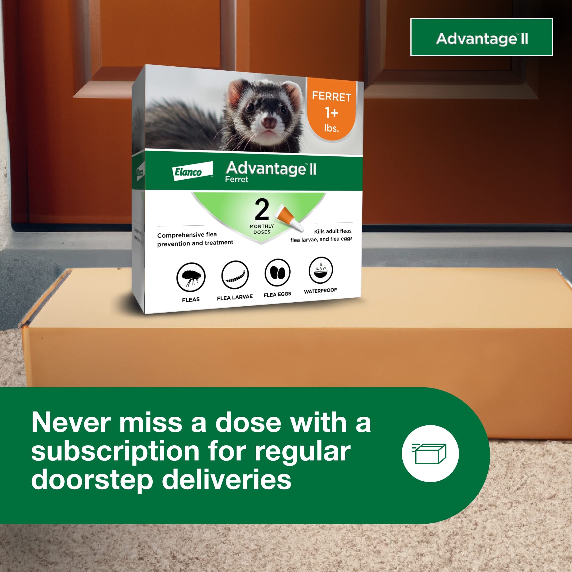 Advantage II Ferret subscription delivers ongoing flea protection to your door.