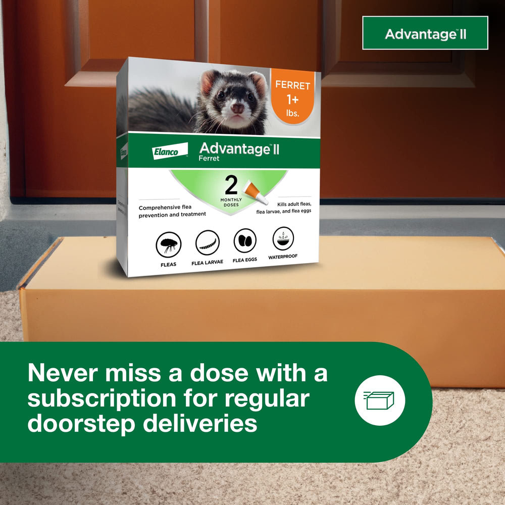 Advantage II Ferret subscription delivers ongoing flea protection to your door.