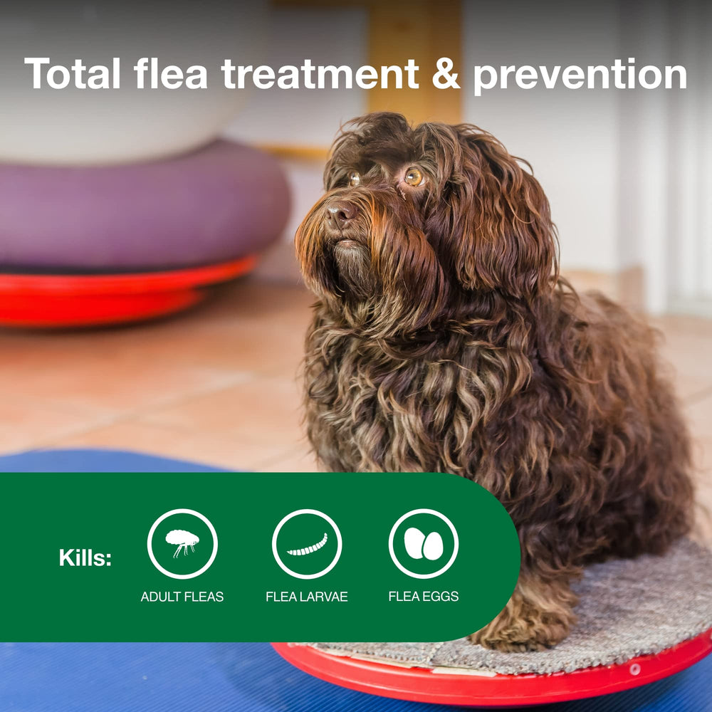Advantage II Small Dog is an easy‑apply topical treatment with no prescription.