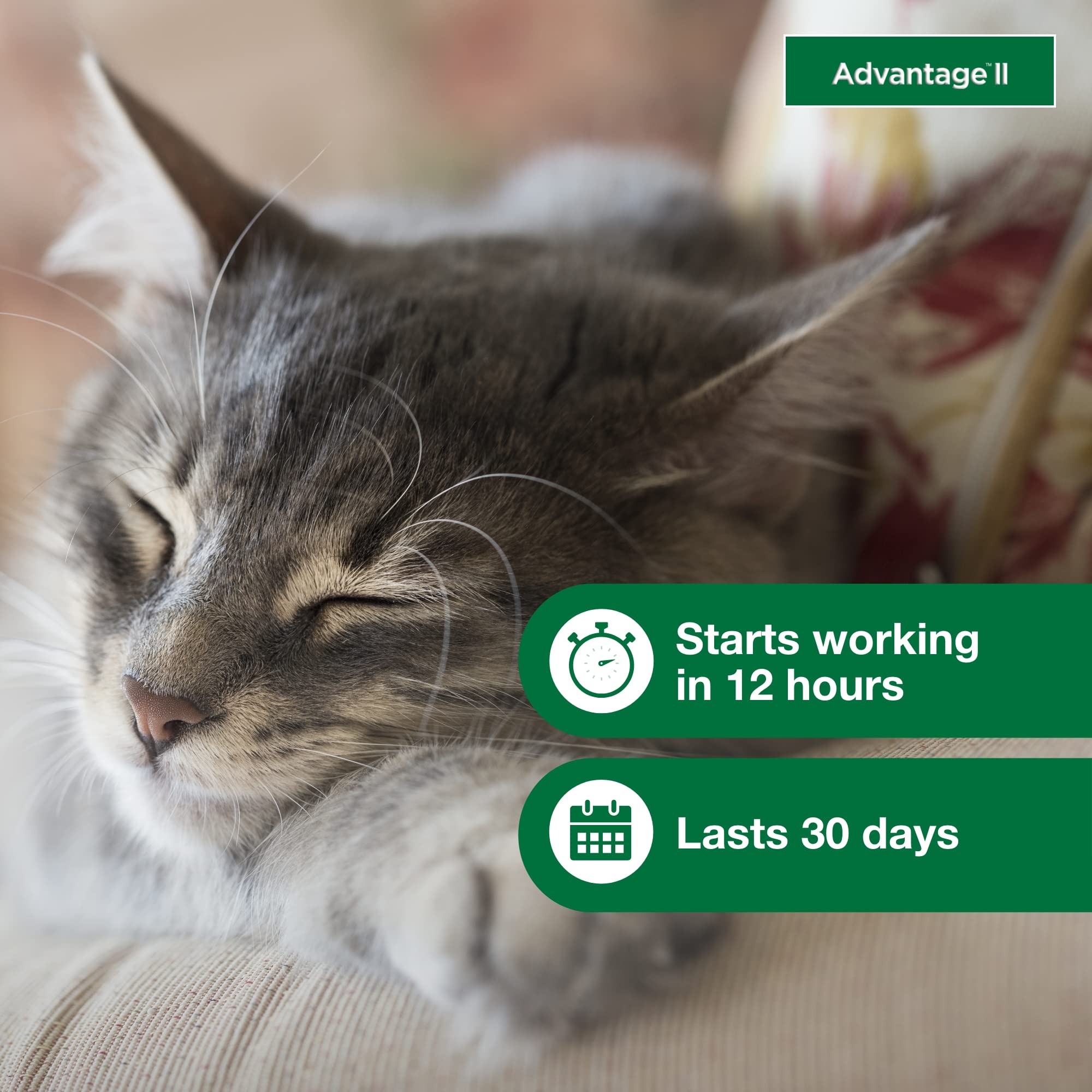 Fragrance-free Advantage II Small Cat formula gentle on pets.