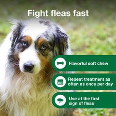 Advantus dog eating chew close-up, tasty-flavored texture