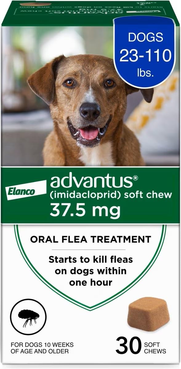 Advantus dog fast-acting chews bottle demonstrates quick flea relief for dogs.