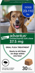 Advantus dog fast-acting chews bottle demonstrates quick flea relief for dogs.