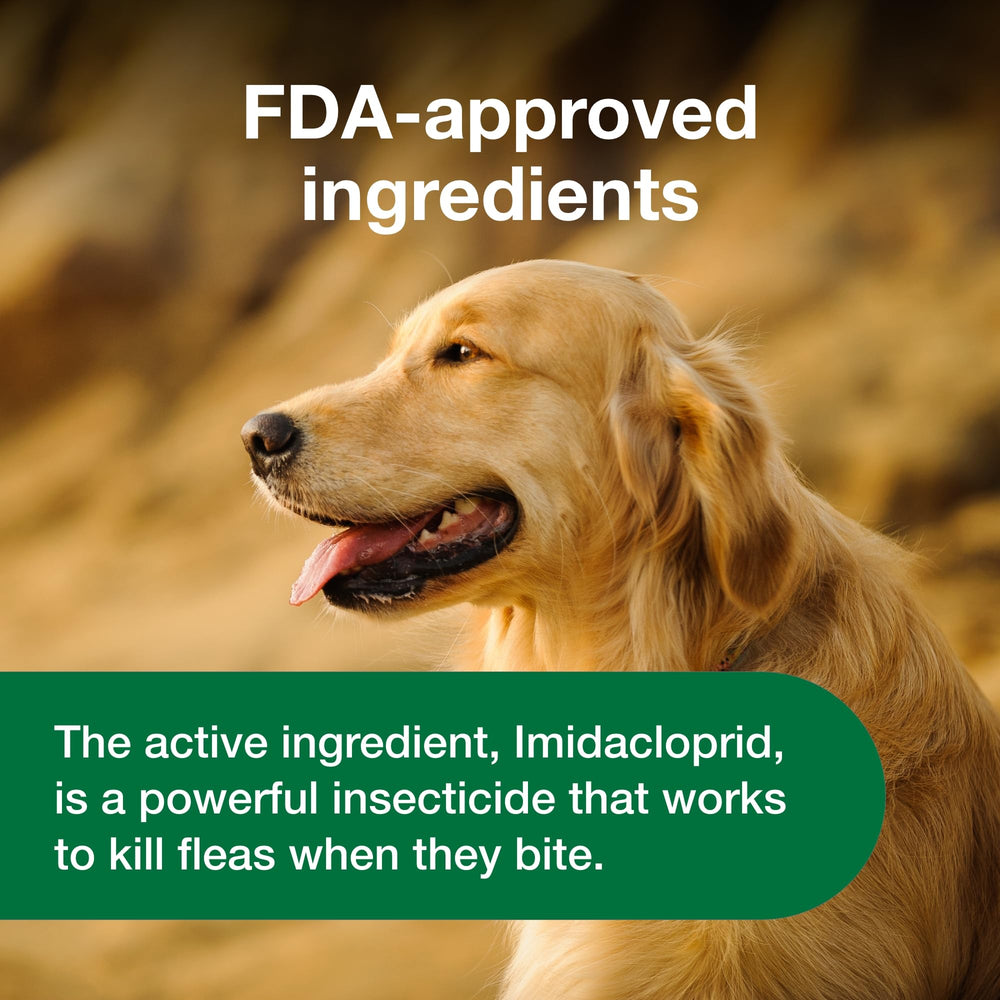 Advantus soft chews provide quick fleas relief within an hour