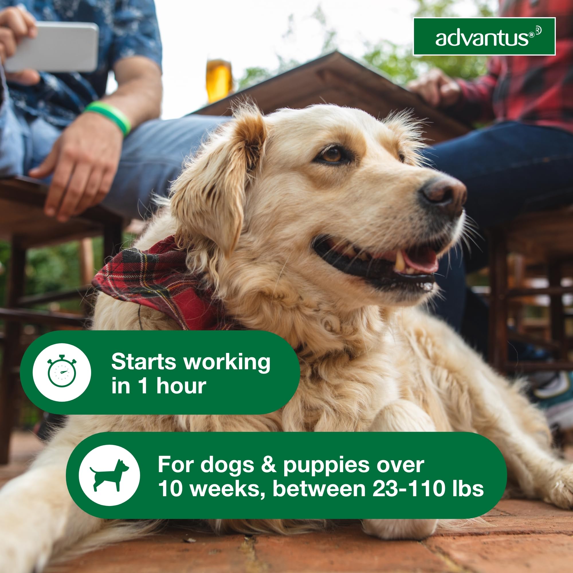 Advantus soft chew close-up shows texture for easy feeding.
