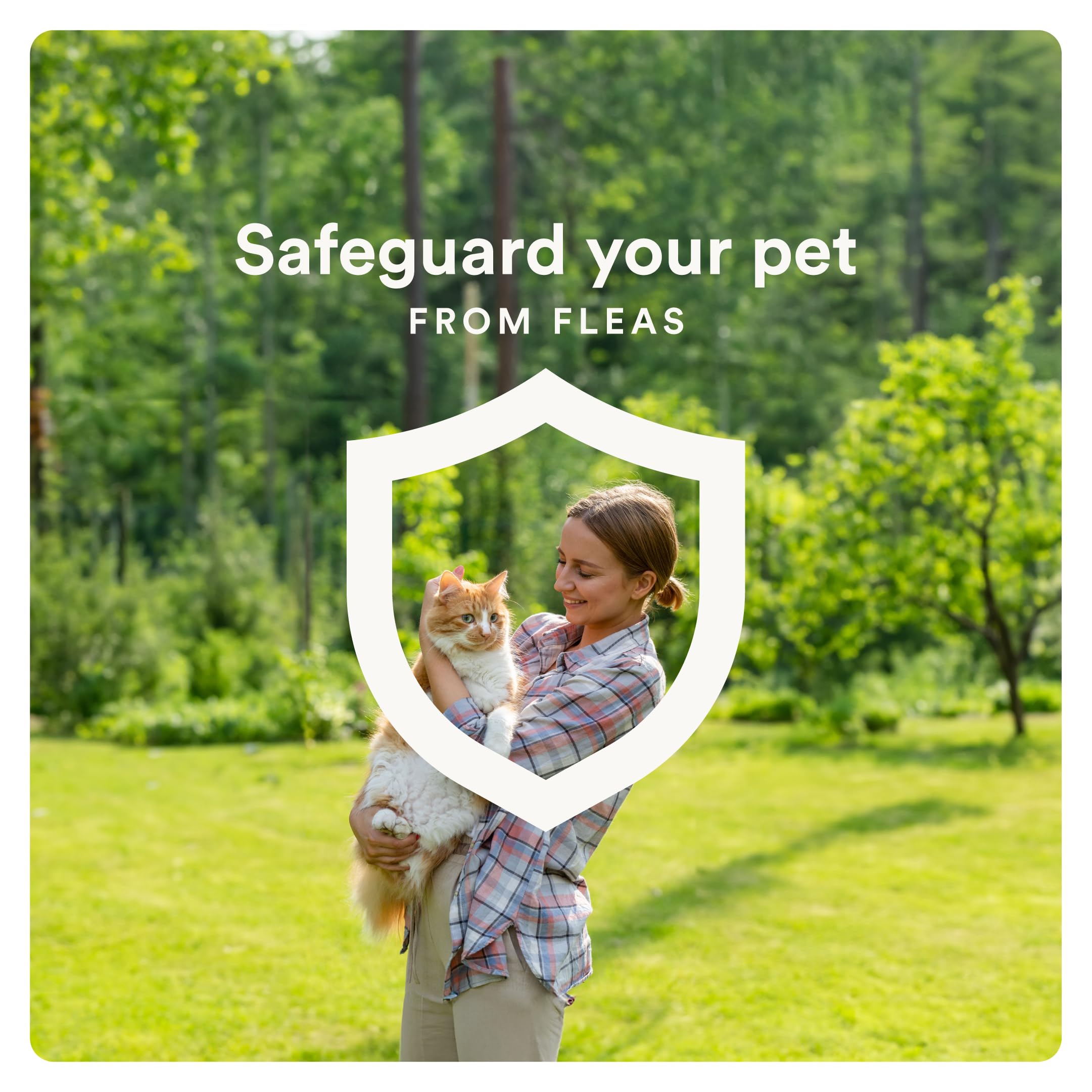 Advecta Plus 4-month supply pack ready for ongoing protection
