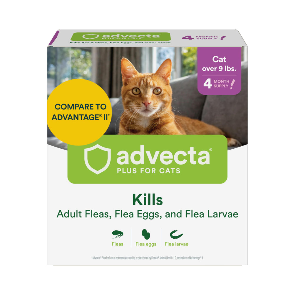 Advecta Plus bottle being applied for fast flea treatment on a cat