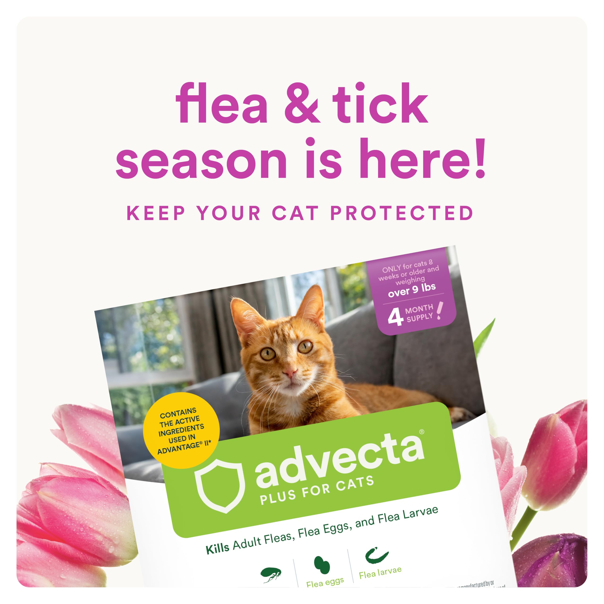 Advecta Plus flea treatment drops applied to skin to prevent bites.