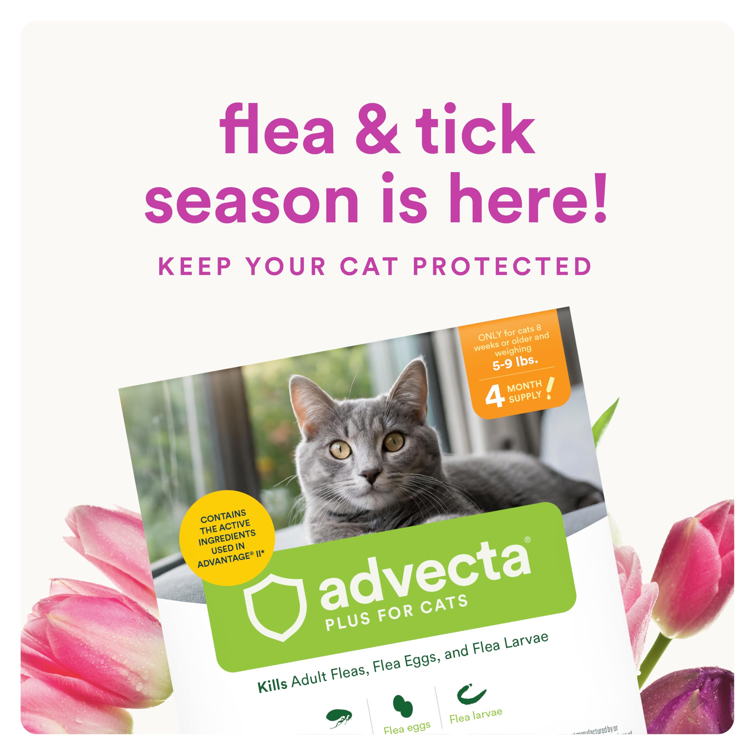 Advecta Plus drops applied to cat skin for fast flea action.
