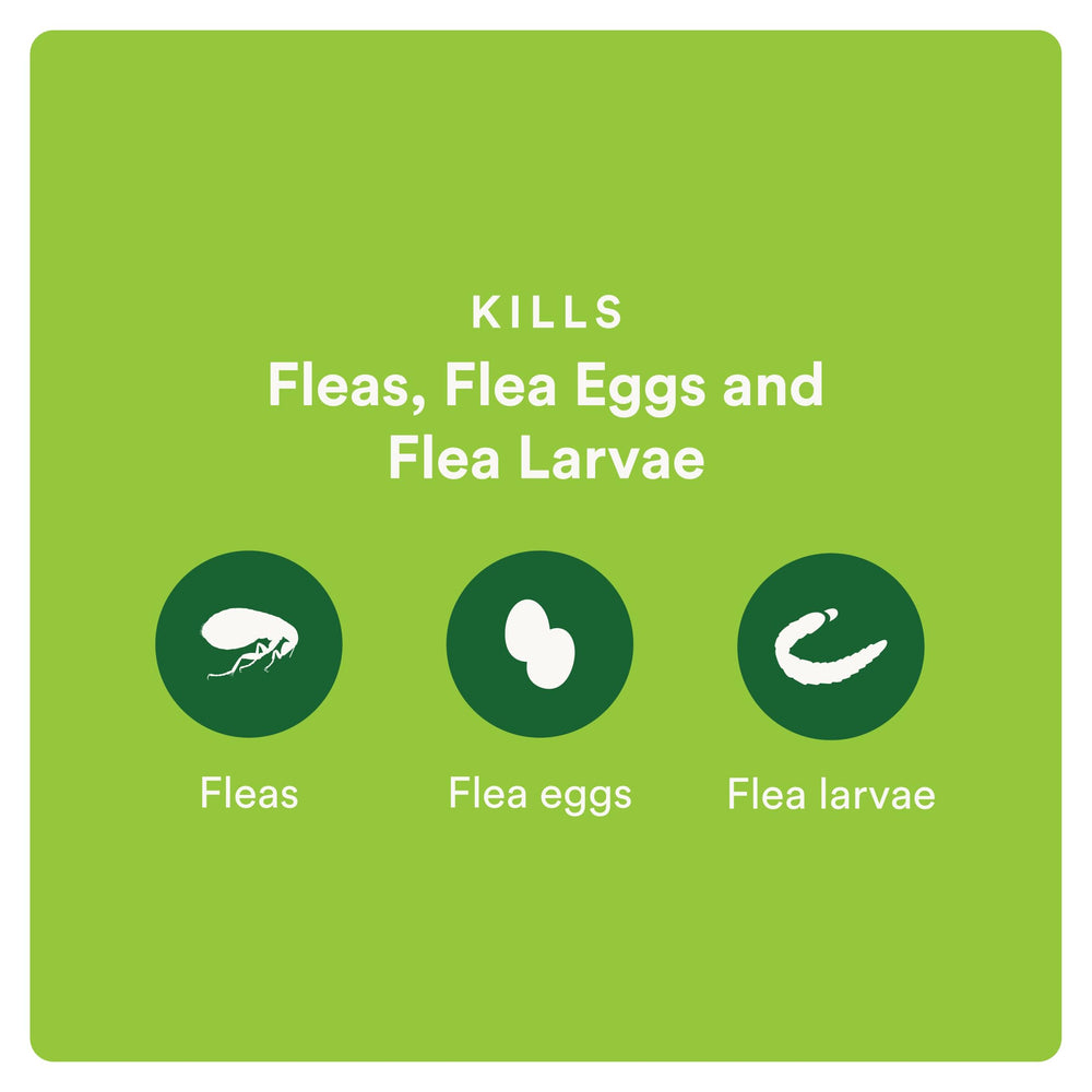 Advecta Plus kills fleas within 12 hours of application for quick relief.