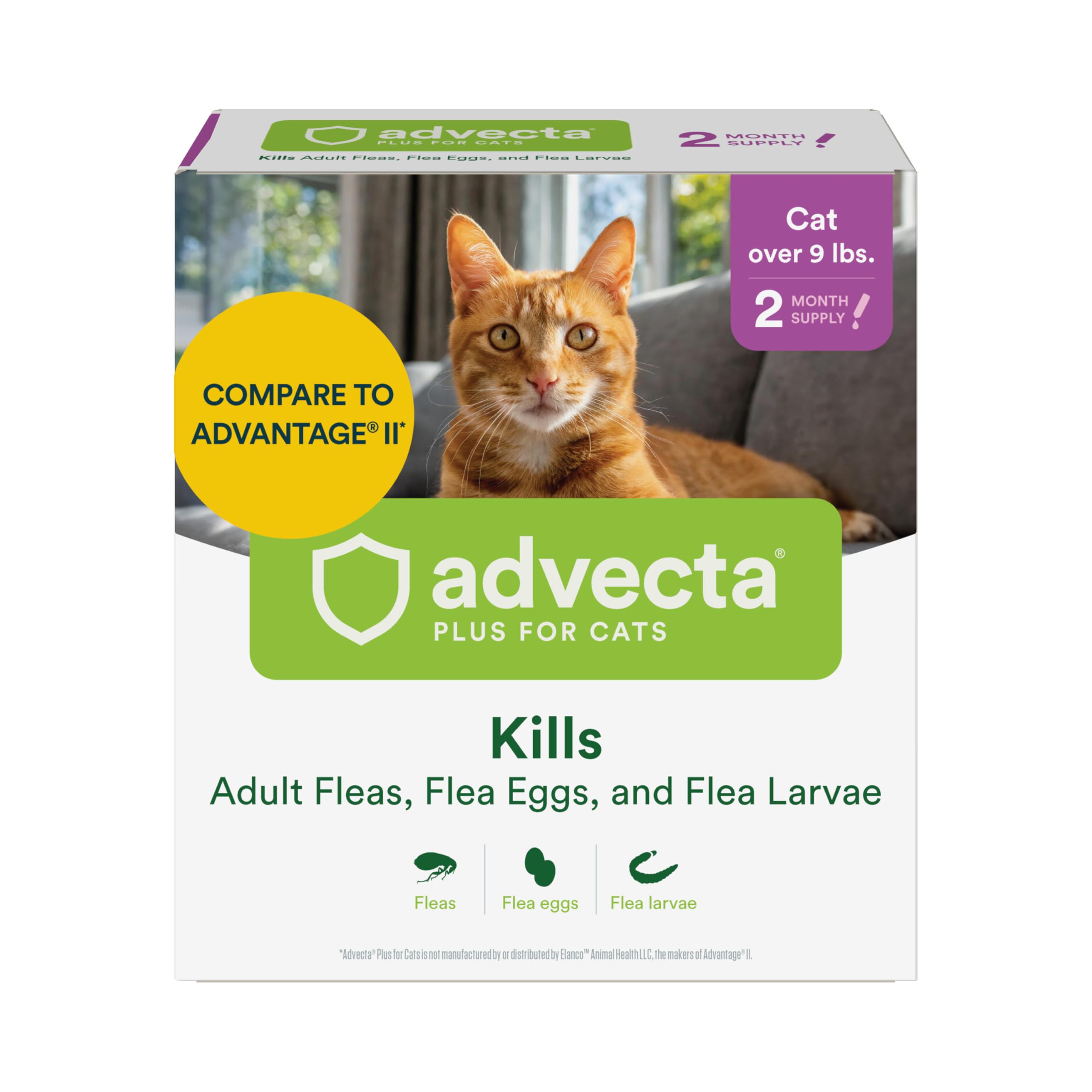 Advecta Plus large cat flea treatment bottle pour for easy monthly application.