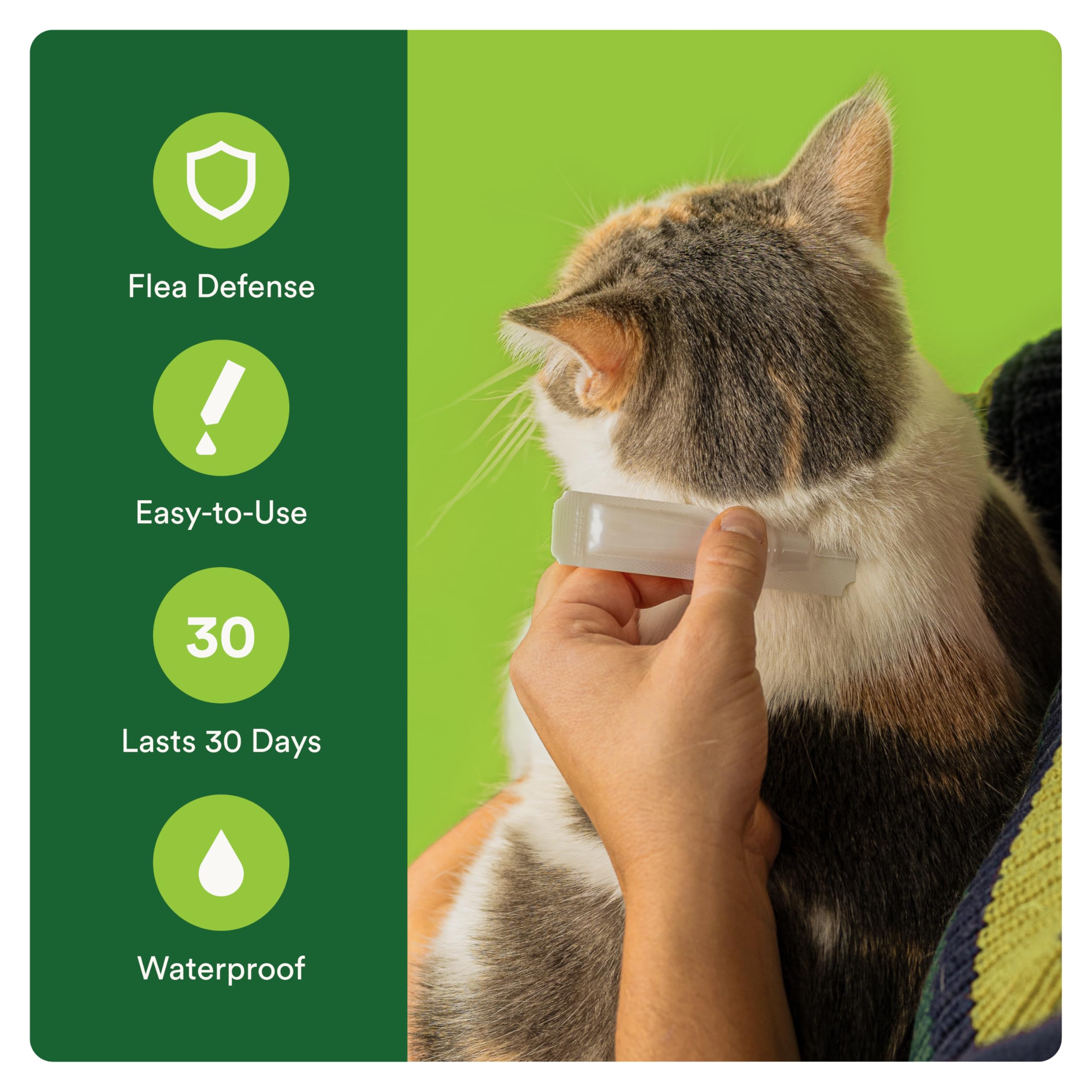 Advecta Plus suitable for cats and kittens eight weeks and older.