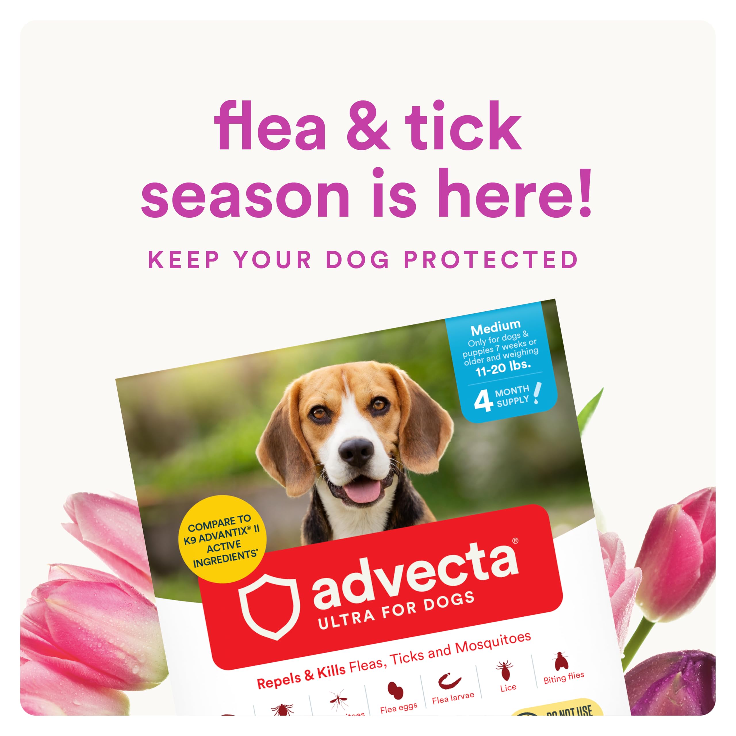 Advecta Ultra applied on the dog’s coat for topical protection