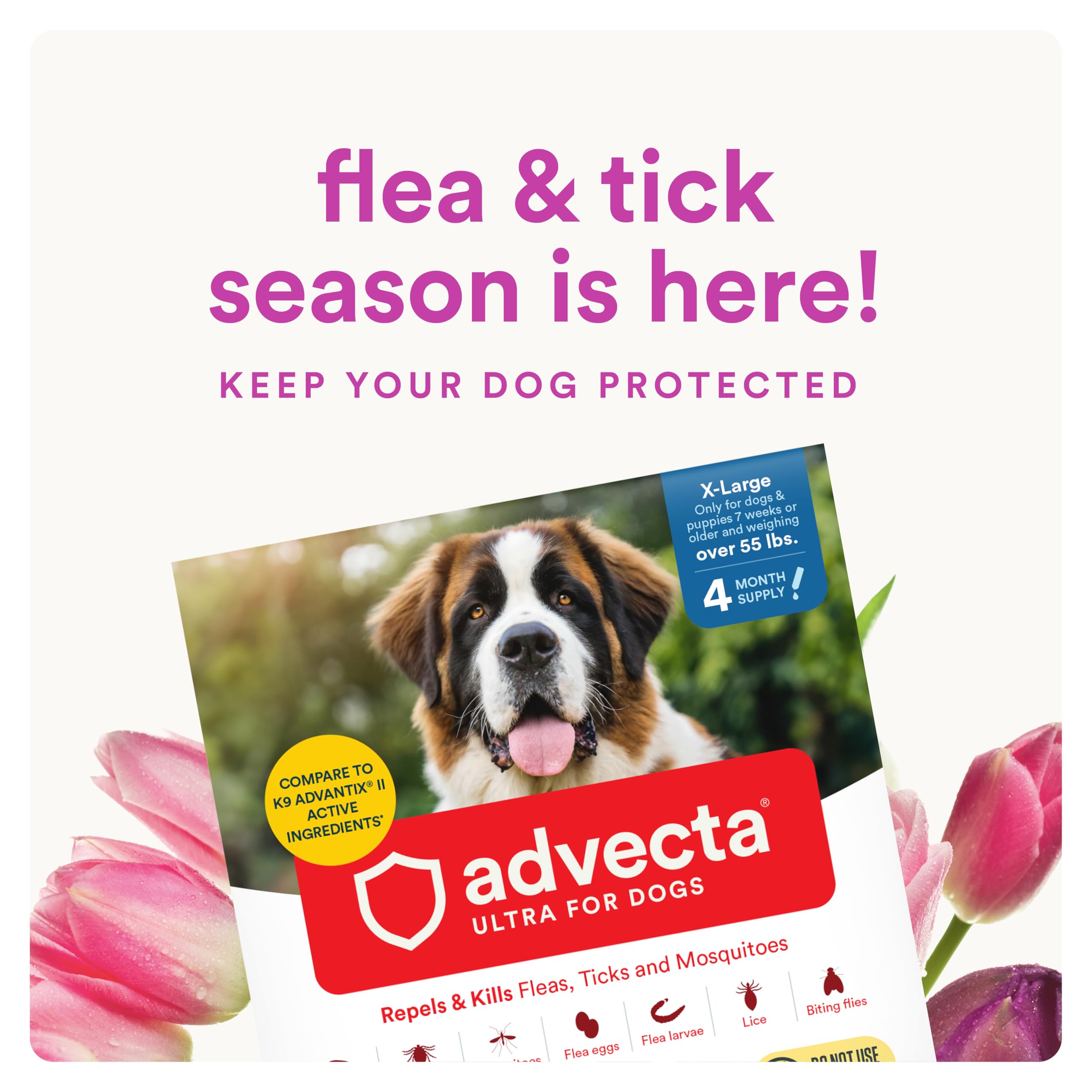 Applying Advecta Ultra on a dog's coat for convenient protection.