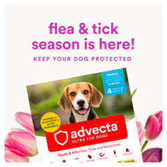 Advecta Ultra applied on the dog’s coat for topical protection