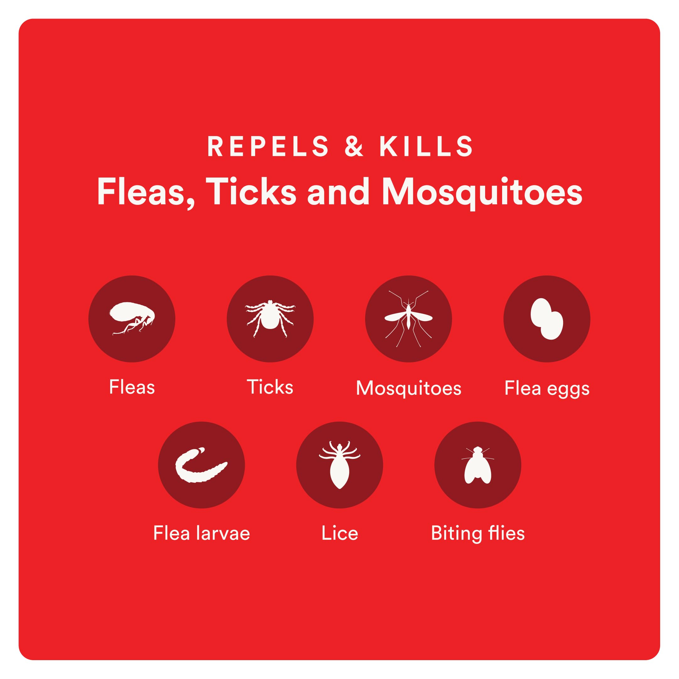 Advecta Ultra breaks the flea life cycle by killing eggs and larvae.