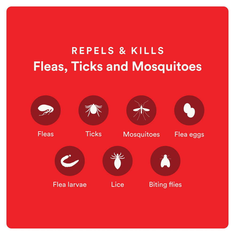 Advecta Ultra breaks the flea life cycle by killing eggs and larvae.