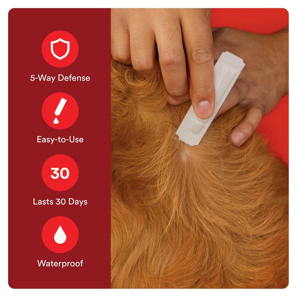 Fast acting flea and tick defense with Advecta Ultra.