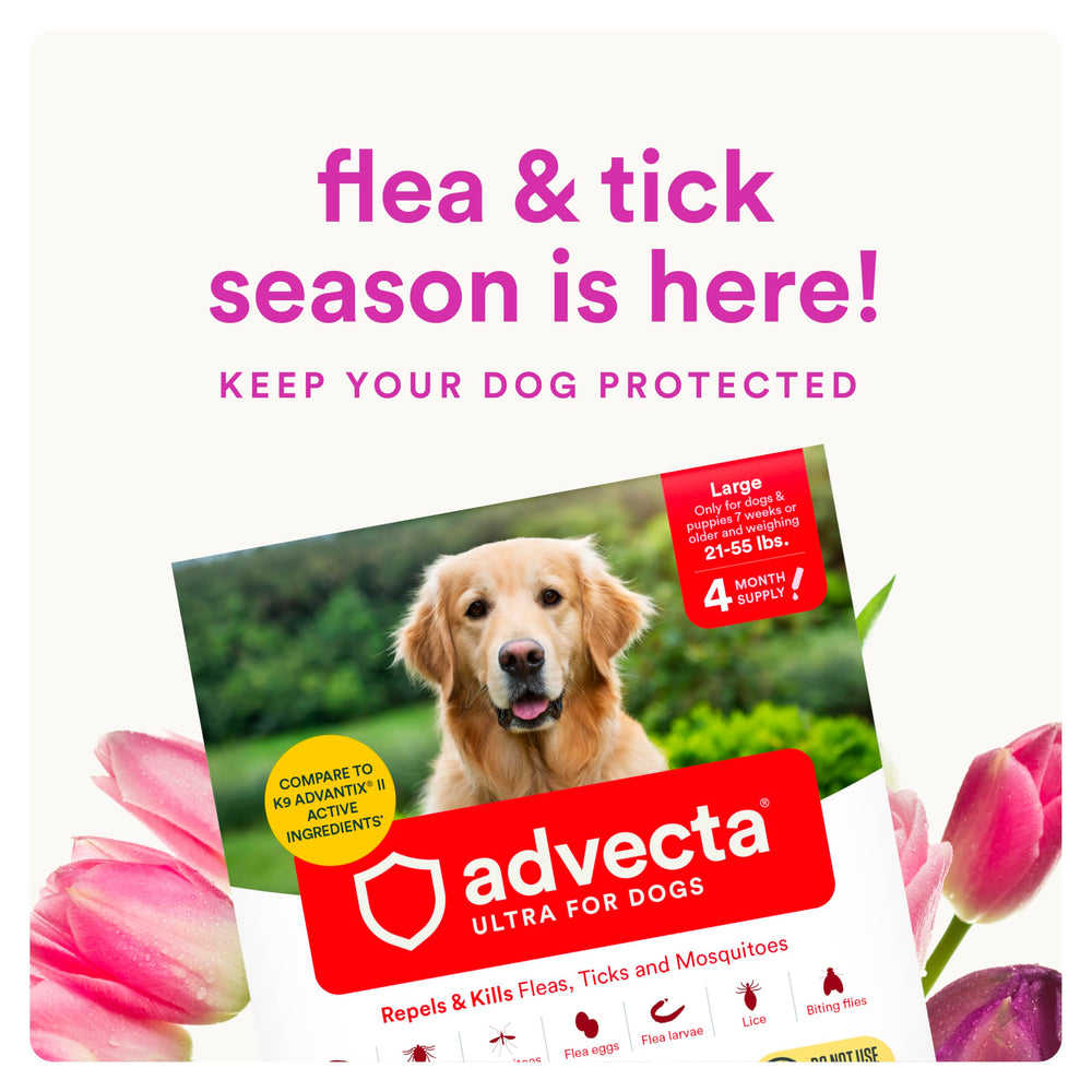 Advecta Ultra packaging front view highlighting waterproof formula.