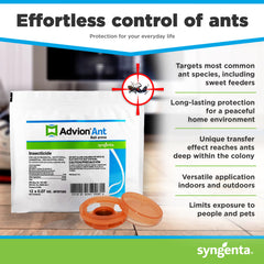 Advion Ant Bait Arena dining room setup helps detect trails