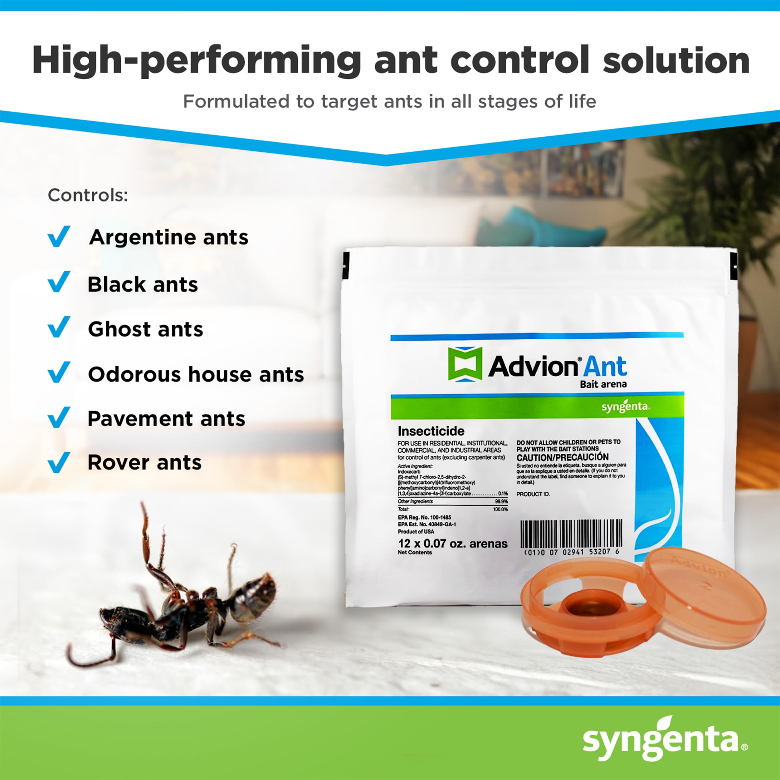 Advion Ant Bait Arena entry point monitors ant activity effectively