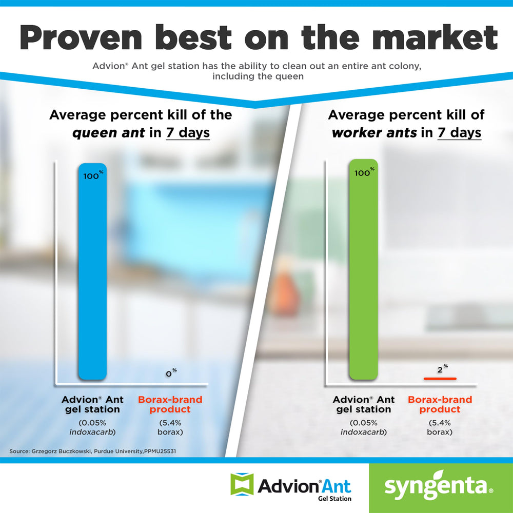 Advion ant bait used across multiple species for versatile control