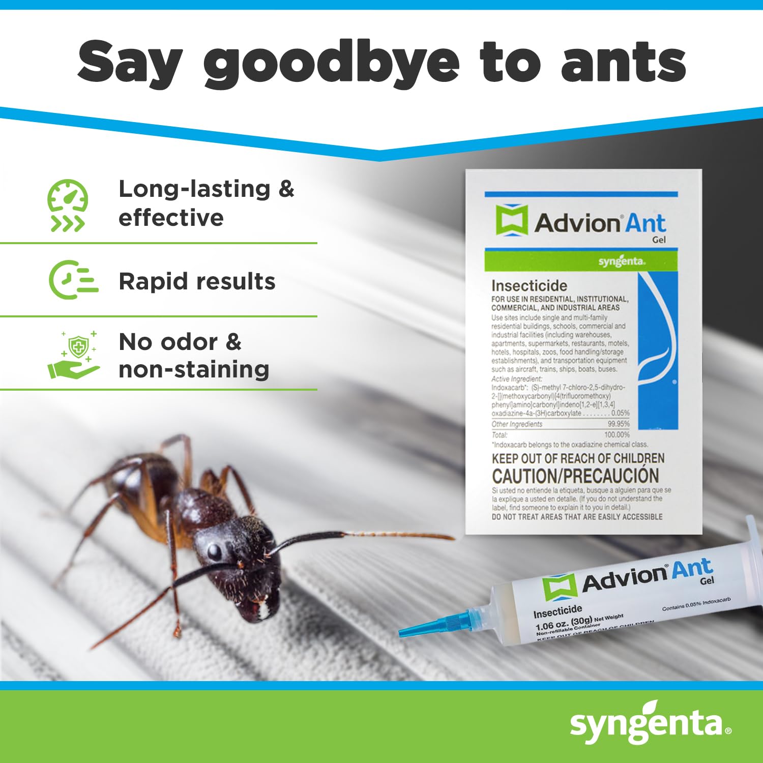 Advion ant gel application at a hotspot to attract sweet-feeding ants.
