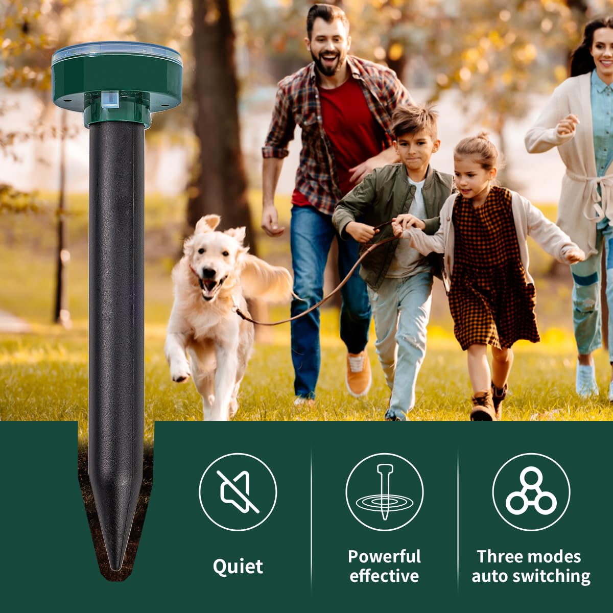 AECITY waterproof stakes endure rain while guarding garden borders.