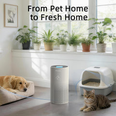 Afloia activated carbon filter neutralizes pet odors and smoke