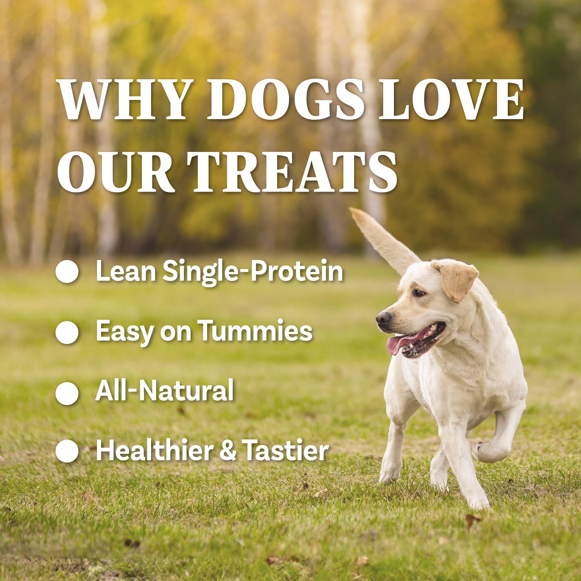 Texture detail reveals chewy, robust bites ideal for training sessions with dogs.