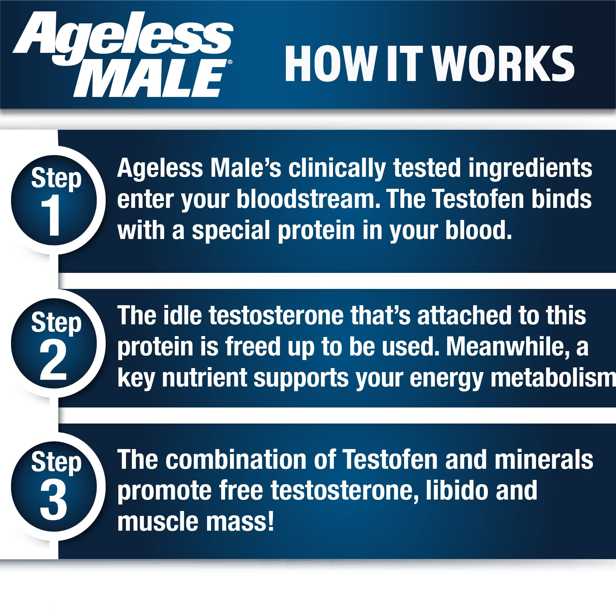 Lifestyle scene suggesting energy and everyday strength with Ageless Male.