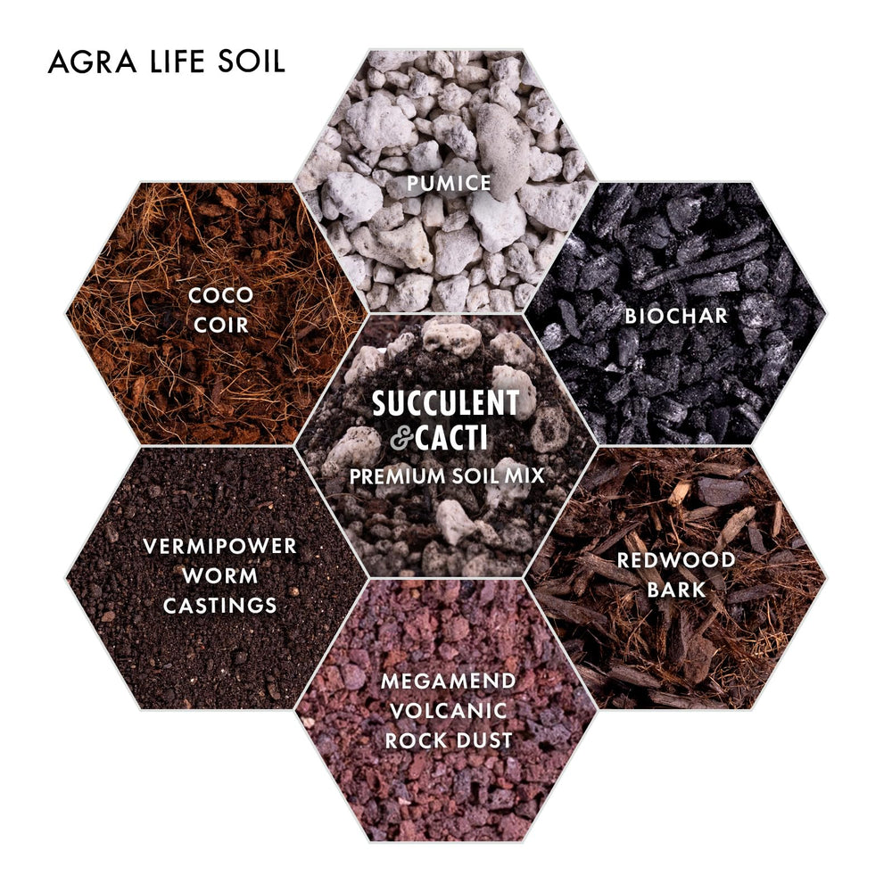 In-pot setup by Agra Life shows easy soil pour for thriving indoor planters.