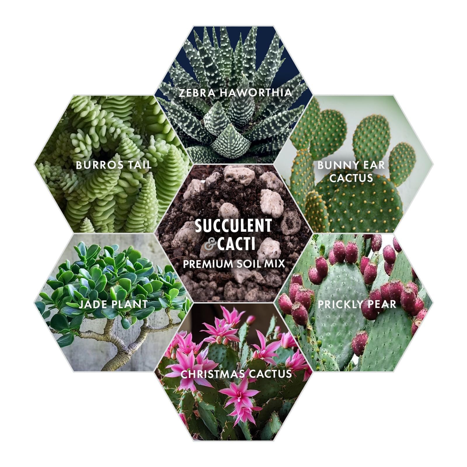 Outdoor planter scene with Agra Life mix supports drainage-friendly roots.