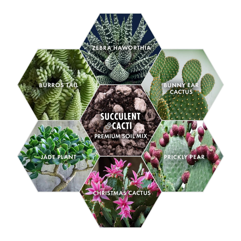 Outdoor planter scene with Agra Life mix supports drainage-friendly roots.