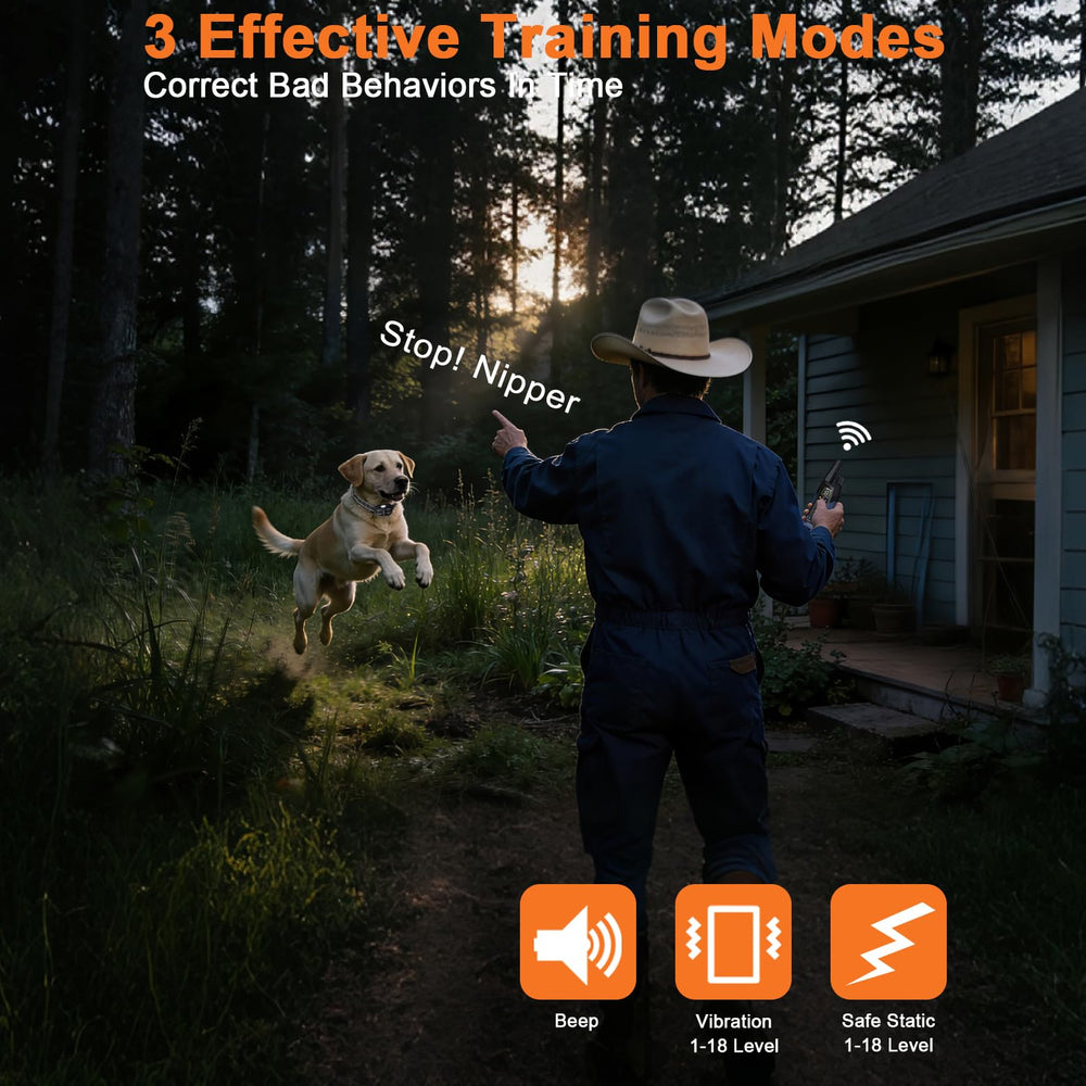 Aikko waterproof receiver for IPX7-rated dog collar during outdoor adventures.