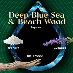 Diffuser plug-in with Air Wick Vibrant refill and coastal scent