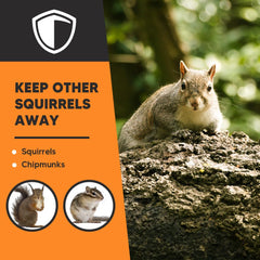 AJOQFKTD squirrel away attic use helps protect stored items