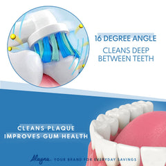 Alayna durable end-rounded nylon bristles for gentle daily cleaning