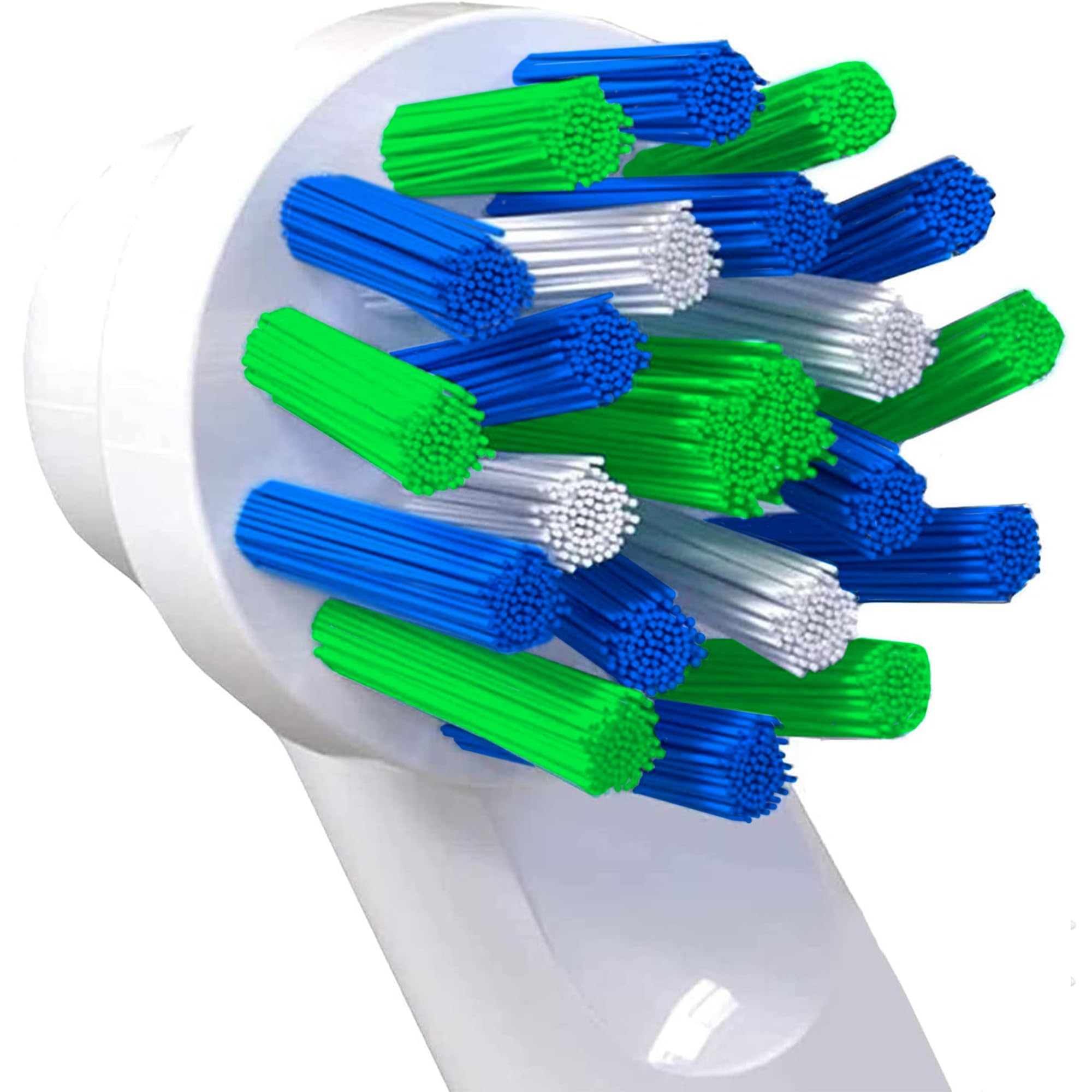 Alayna replacement head fits most Oral-B handles securely