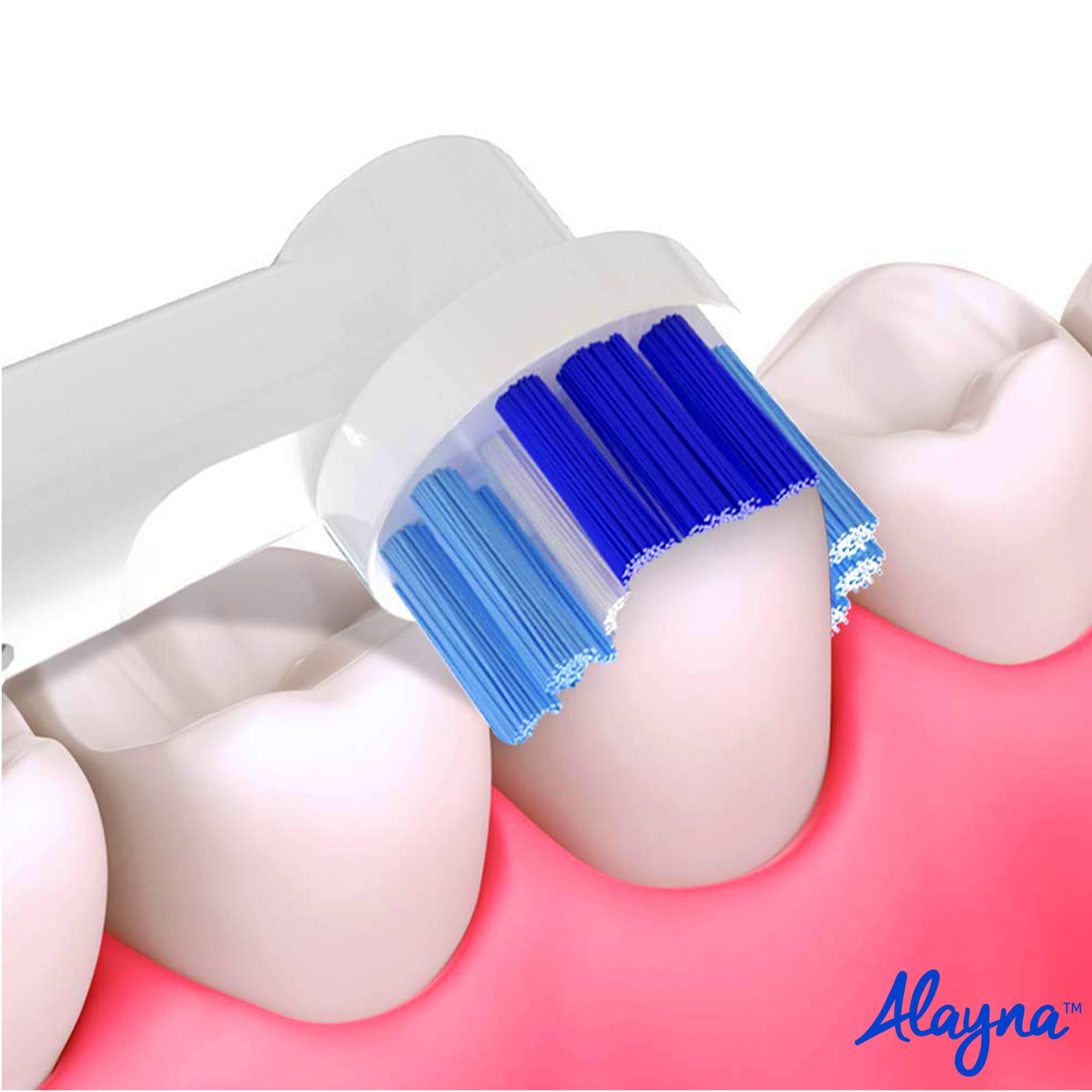 Alayna Oral-B 8000 head with reinforced bristles close-up