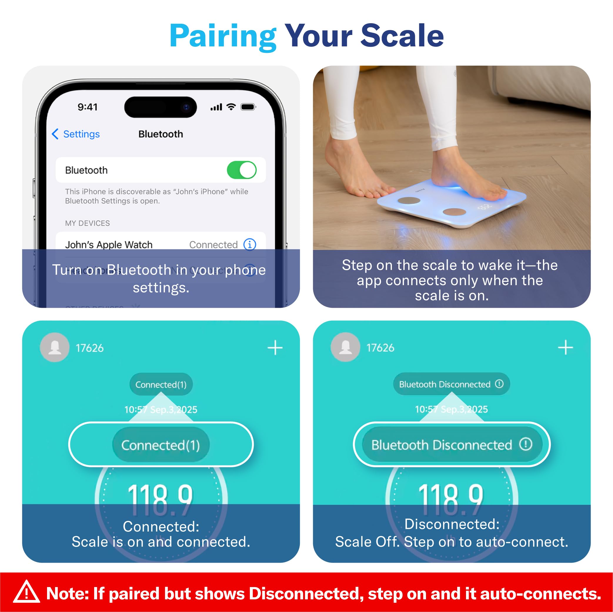 Alcedo app visualization helps review trends and goals.