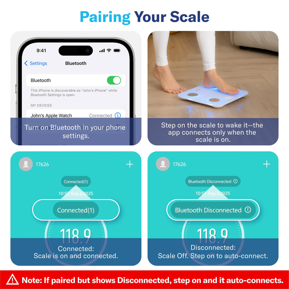 Alcedo app visualization helps review trends and goals.