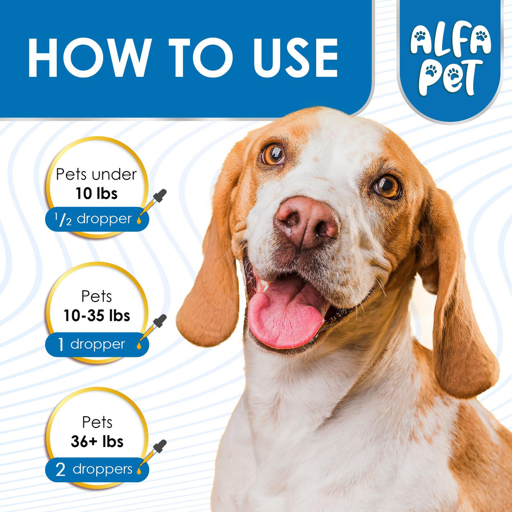 Alfa Pet Kennel Cough Mixing Into Food demonstrates easy administration for small pets.