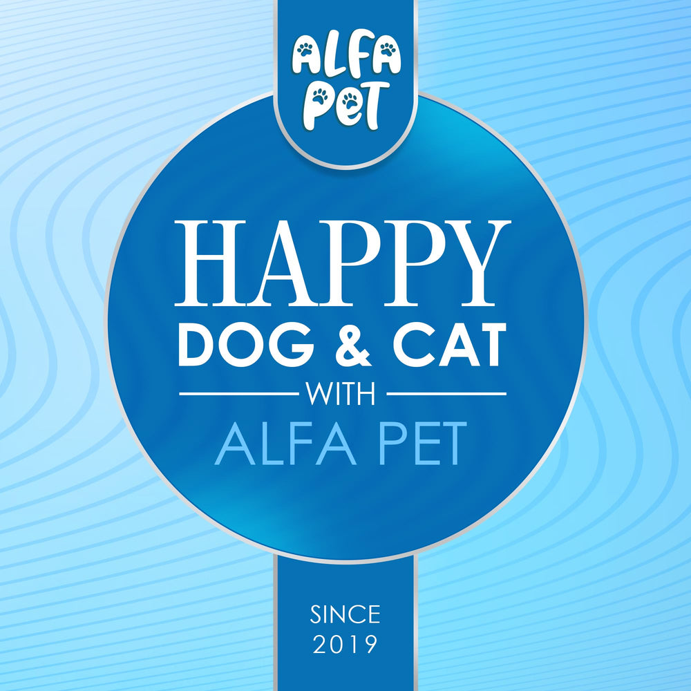 Alfa Pet Kennel Cough Packaging shows sturdy bottle and clear instructions.