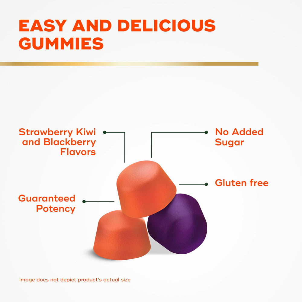 Align Probiotic + Fiber Gummies blackberry flavor close-up for taste and fiber